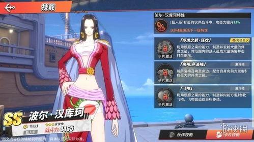 海贼王最新ss爆料,神秘新角色登场，世界格局将迎巨变！