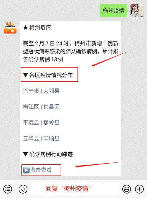 新型冠病毒最新爆料,病毒变异追踪与全球防控策略解析