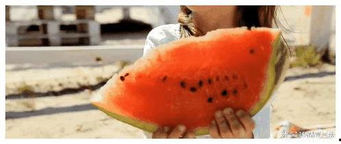 狗仔爆料最新的瓜,娱乐圈最新劲爆事件大揭秘！