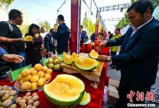 山西运城吃瓜爆料最新,揭秘当地奇闻轶事