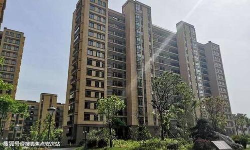 东郊惠泽园最新施工爆料,全新面貌即将呈现